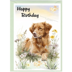 Tarjeta de "Feliz Cumpleaños" (15 x 10 cm) con sobre para perro cobrador de Nueva Escocia. Interior en blanco para tu mensaje.