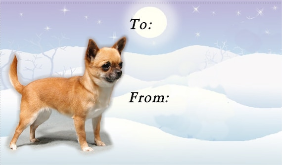 Etiquetas De Regalo Premium Vivi Garde - Tarjetas Con Brillo Dise Os Variados Para Todo 362863