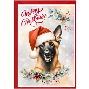 Biglietto di Natale con pastore belga (Malinois) (6" x 4") Interno vuoto - con busta. Articolo perfetto per qualsiasi amante dei cani