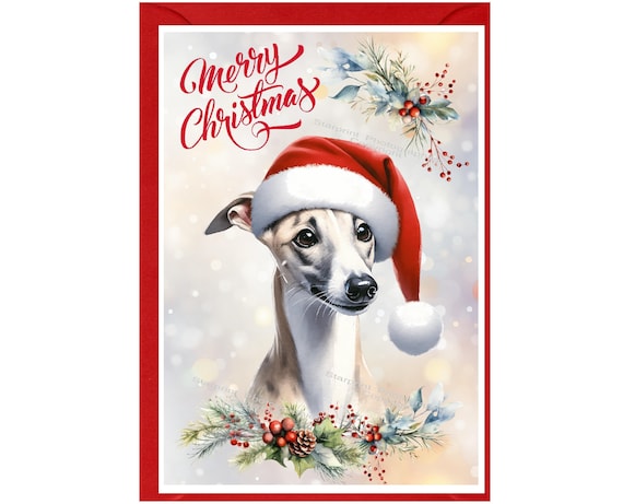 ウィペット犬用クリスマスカード（6インチ×4インチ）内側は白紙、封筒