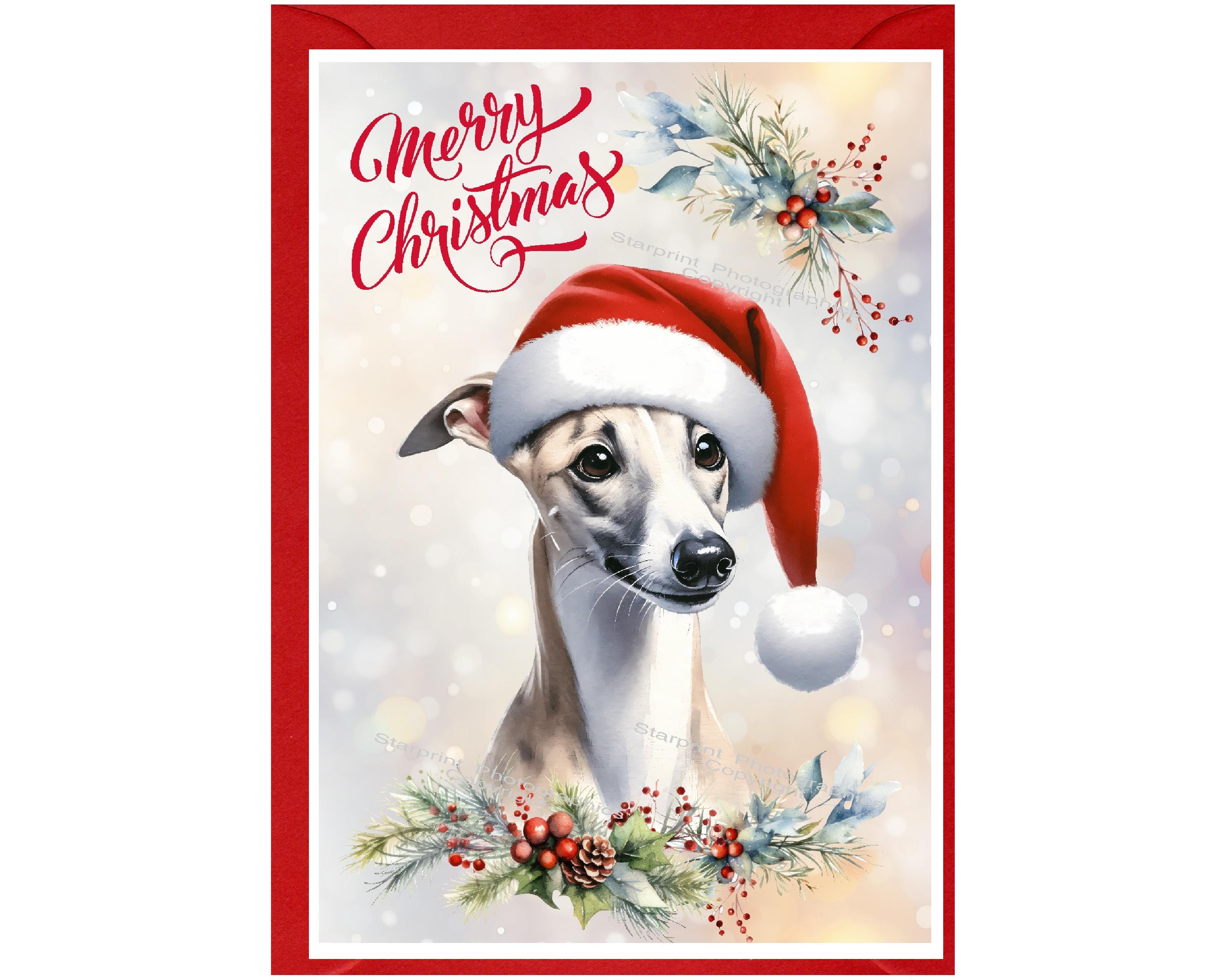 ウィペット犬用クリスマスカード（6インチ×4インチ）内側は白紙、封筒