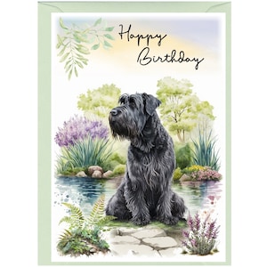Geburtstagskarte mit Umschlag - ""Happy Birthday"" - Riesenschnauzer, innen blanko für Ihre eigene Nachricht." Perfekt für jeden Hundefreund