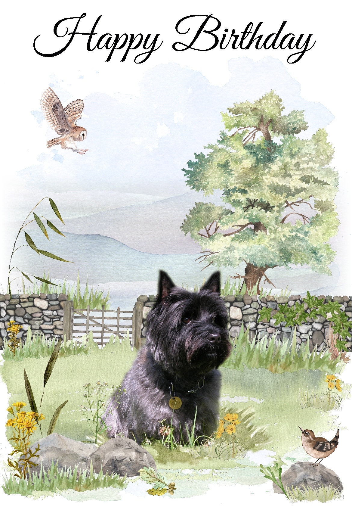 Happy Birthday Karte Für Ihn – Hund & Wander-Motiv Mit Silberfolie, Elegant & Persönlich