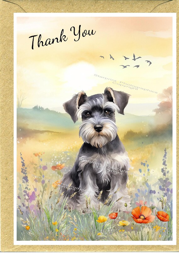 Miniature Schnauzer Dog 