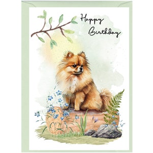 Biglietto "Happy Birthday" con cane Pomerania (6"x 4") con busta. Vuoto all'interno per il tuo messaggio. Perfetto per ogni amante dei cani