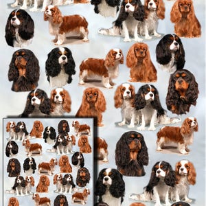 Carta da regalo a forma di cane Cavalier King Charles Spaniel con biglietto regalo abbinato