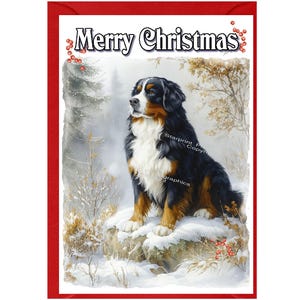 May include: A Christmas card with a red border features a Bernese Mountain Dog sitting on a snow-covered rock in a winter scene. The words "Merry Christmas" are written across the top in a decorative font.
