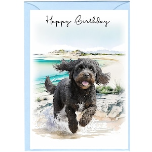 Carte « Joyeux anniversaire » Cockapoo Dog avec enveloppe - Vierge à l'intérieur pour votre propre message. Disponible en 2 tailles - A6 et A5