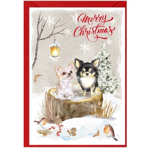 Carte de Noël pour chien chihuahua (6 x 4 po.) vierge à l'intérieur - avec enveloppe.  Article parfait pour tous les amoureux des chiens