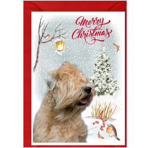 Zacht gecoate Wheaten Terrier-hondenkerstkaart (6" x 4"), blanco binnenkant - met envelop.  Perfect item voor elke hondenliefhebber