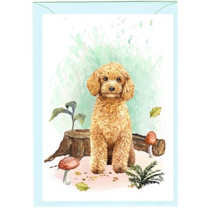 Tarjeta de felicitación personalizada para perros caniche (albaricoque)/nota (6" x 4") con sobre. La tarjeta se puede dejar en blanco si se prefiere.