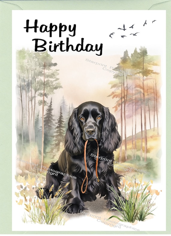 Biglietto D'auguri Thelwell Per Nuovo Lavoro – Cocker Spaniel, Formato A5 Con Busta