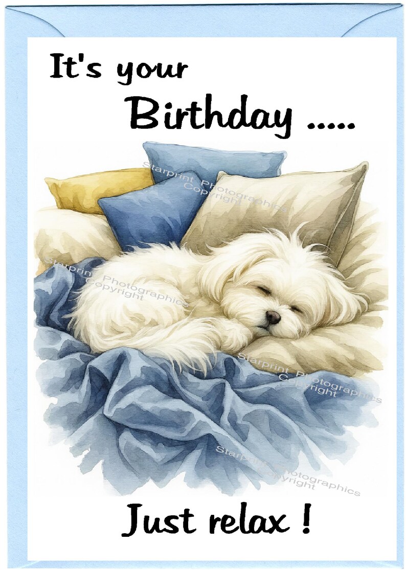 Maltese Dog Birthday Card (6"x 4") With Envelope. Blank Inside for Your ...