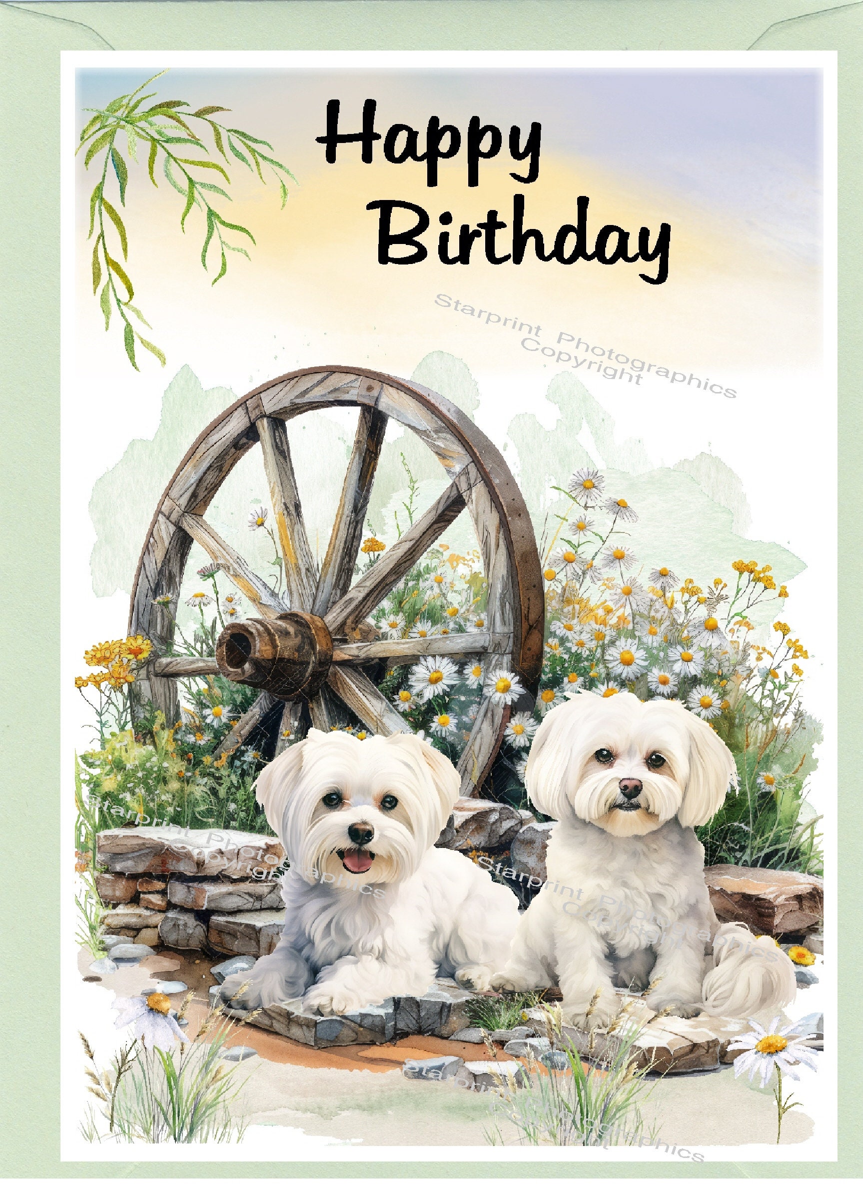 Whitman And Daughter Malteser Geburtstagskarte – Hunde-Karte Blanko, 12,7x17,8 Cm, Für Alle Anlässe
