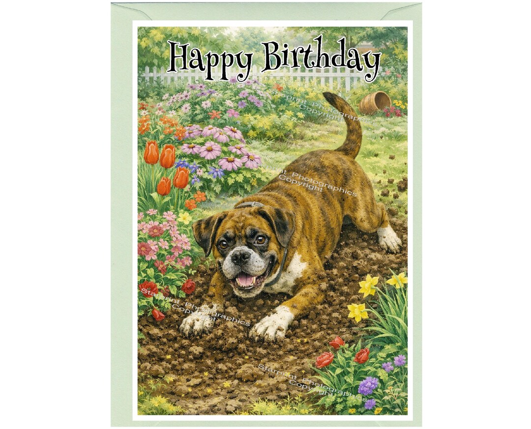 Boxer Dog "happy Birthday" Card (6" X 4") With Envelope - Blank Inside ...
