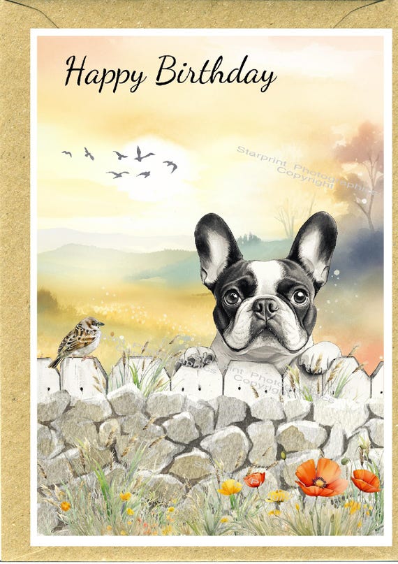 Afie 67-1245 Tarjeta Feliz Cumpleaños Con Sobre Para Niña Fan De Bruja