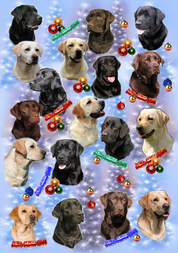 labrador wrapping paper
