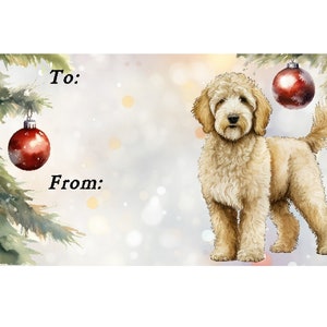 Étiquettes cadeaux Golden Doodle / Labradoodle pour chien, détachables, auto-adhésives, 2 feuilles de 21 étiquettes, 42 étiquettes au total