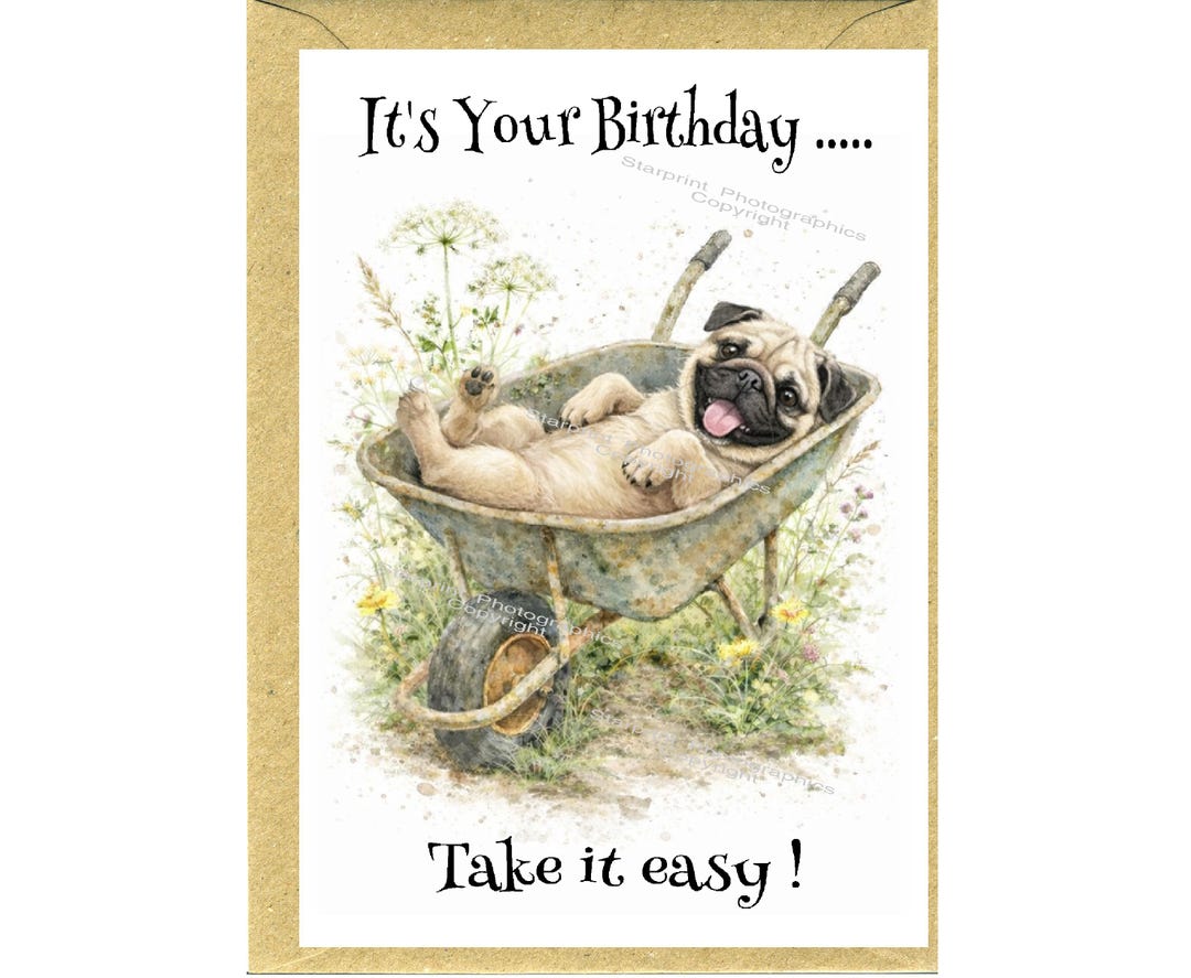Pug (fawn) Dog Birthday Card (6" X 4") With Envelope - Blank Inside for ...