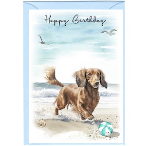 Biglietto "Happy Birthday" con cane bassotto a pelo lungo (6" x 4") con busta - Interno vuoto per il tuo messaggio. Perfetto per ogni amante dei cani.