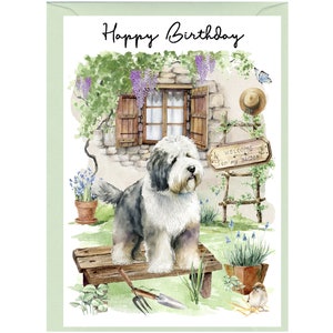 Carte « Joyeux anniversaire » vieux chien de berger anglais (6 x 4 po.) avec enveloppe. Blanc à l'intérieur pour votre propre message. Parfait pour tous les amoureux des chiens