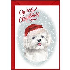 Biglietto di Natale Maltese Dog (6" x 4") Vuoto all'interno - con busta. Articolo perfetto per qualsiasi amante dei cani