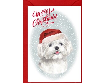 Maltese Dog Christmas Card (6" x 4") Blank inside - with Envelope.  Perfect item for any Dog Lover