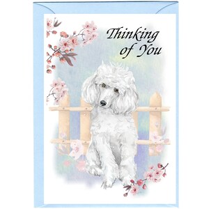 Pudel (weiß) Hund ""Thinking of You"" -Karte (15 x 10 cm) mit Umschlag - Leere Innenseite für Ihre eigene Nachricht."
