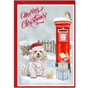Carte de Noël chien maltais (6 x 4 po.) vierge à l'intérieur - avec enveloppe.  Article parfait pour tous les amoureux des chiens