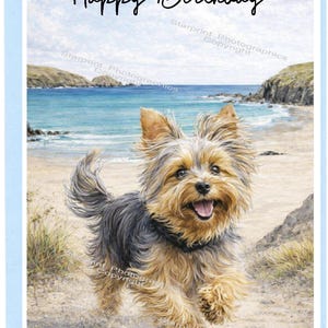 May include: A greeting card with a beach scene and a Yorkshire Terrier dog. The dog is running on the sand with its tongue out. The words "Happy Birthday" are written at the top of the card.