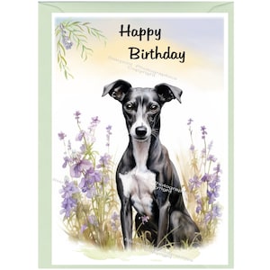 Biglietto "Happy Birthday" con cane Whippet (6"x 4") con busta. Vuoto all'interno per il tuo messaggio. Perfetto per ogni amante dei cani