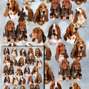 May include: A digital paper featuring a repeating pattern of brown and white basset hounds. The basset hounds are in various poses, some are sitting, some are standing, and some are looking at the camera. The background is a light blue colour.