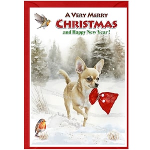 Carte de Noël de chien chihuahua à poil lisse (6 x 4 po.) vierge à l'intérieur - avec enveloppe. Article parfait pour tous les amoureux des chiens