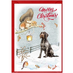 Könnte beinhalten: Eine Weihnachtskarte mit einem braun-weißen Hund, der im Schnee sitzt, mit einem Eichhörnchen, zwei Rotkehlchen und einer Laterne auf einem Ast. Die Karte hat einen roten Rand und den Text "Merry Christmas" in rot.