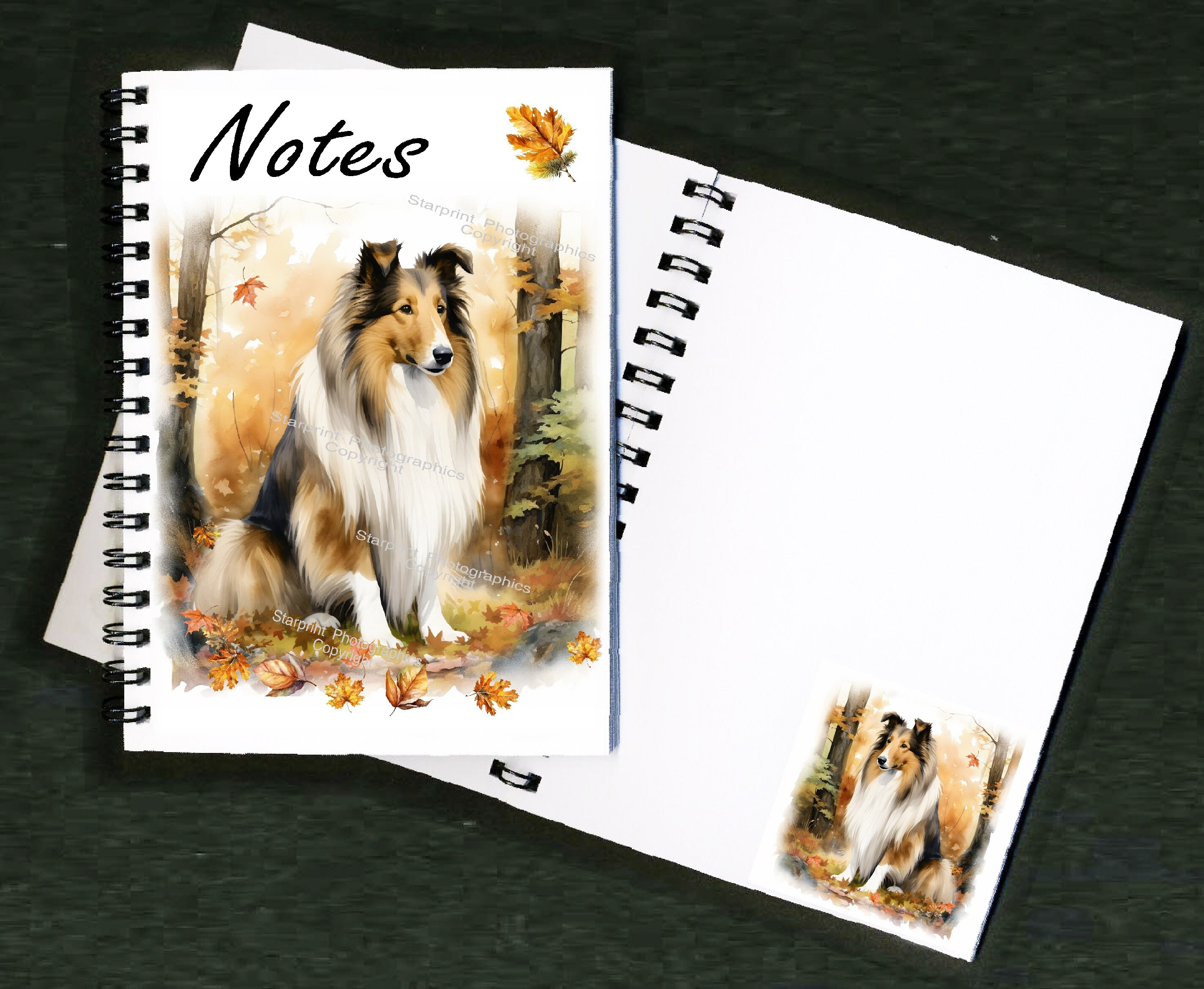Rough top collie gifts