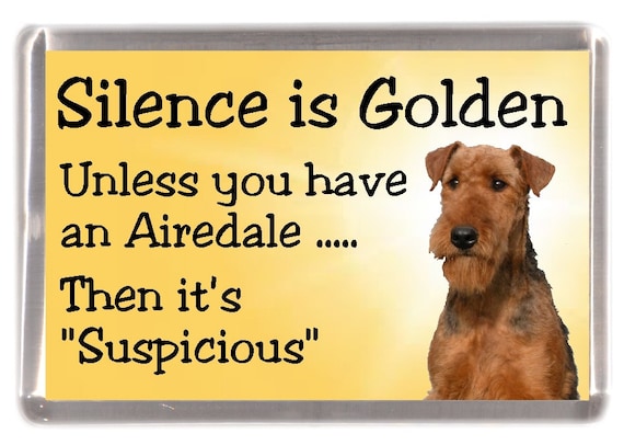 golden airedale