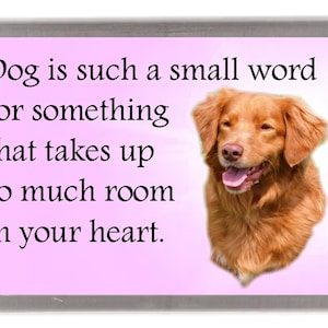 Nova Scotia Duck Tolling Retriever Dog Fridge Magnet - &quot;Dog is such a small word .......&quot;  Great Gift for any Dog Lover