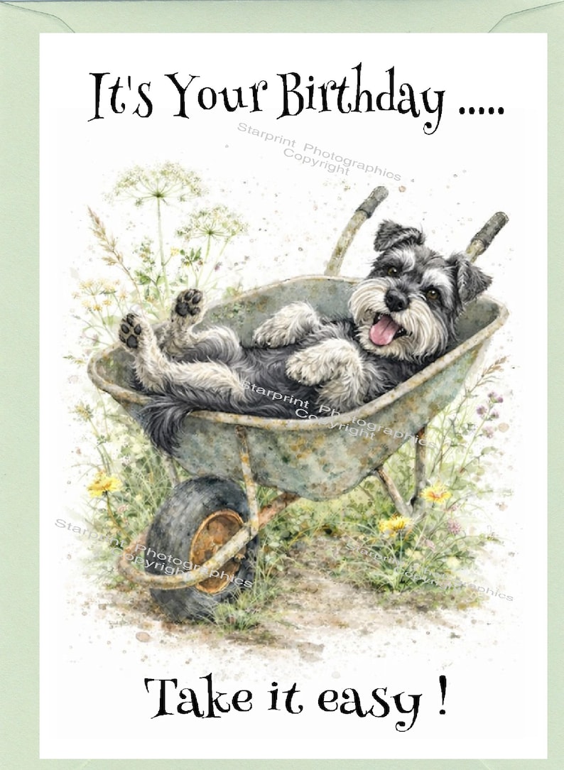 Miniature Schnauzer Dog Birthday Card (6" X 4") With Envelope - Blank ...