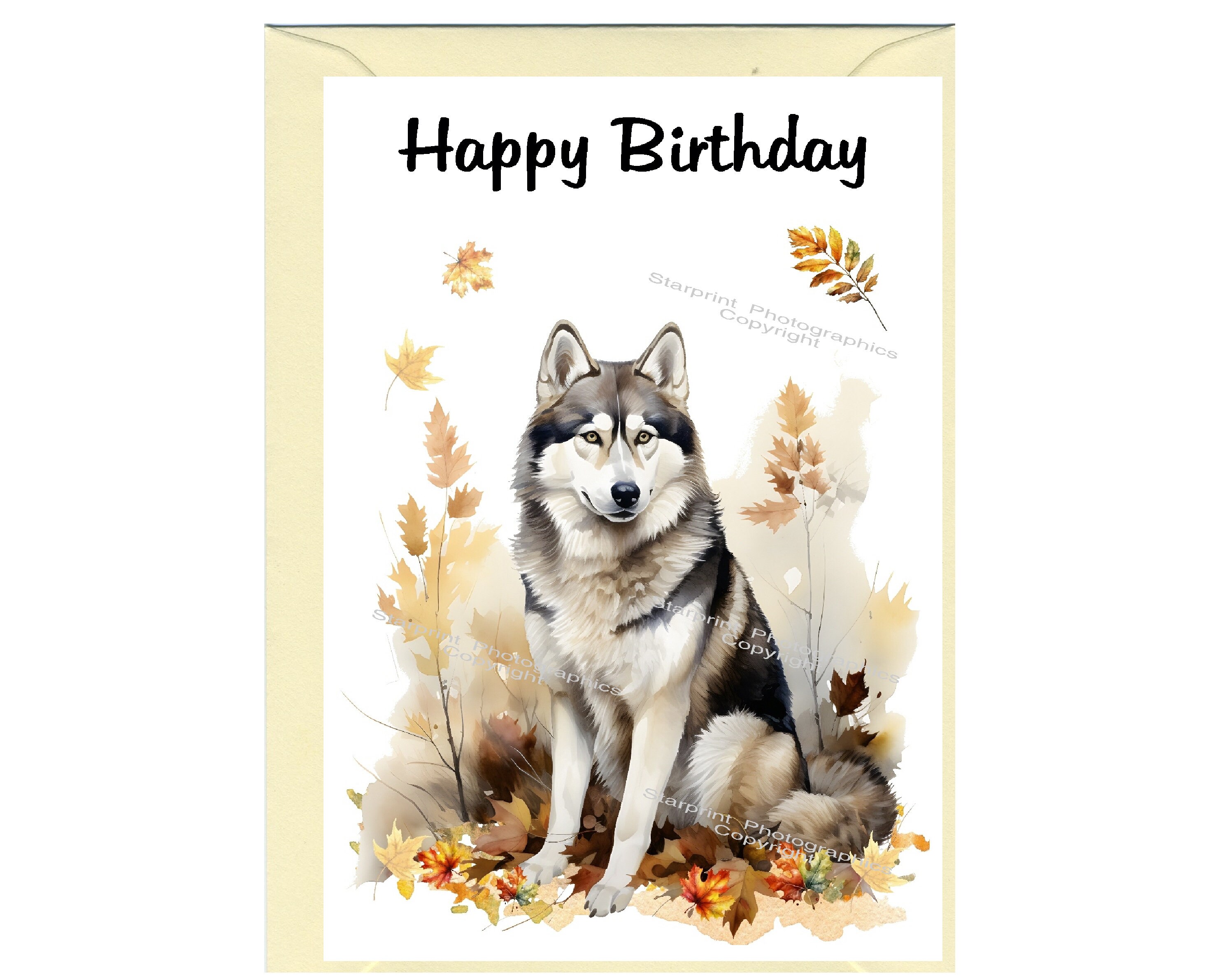 Images De Carte Anniversaire Chien Croise – Téléchargement Gratuit Sur