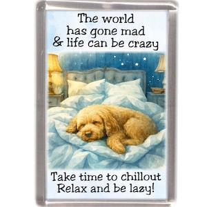 May include: A rectangular magnet featuring a watercolour illustration of a dog on a bed. The text reads "The world has gone mad & life can be crazy. Take time to chillout. Relax and be lazy!"