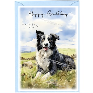 "Grußkarte ""Happy Birthday"" mit Border Collie Hund (15,5 x 10cm) mit Umschlag - Leere Innenseite für Ihre eigene Nachricht." Perfekt für jeden Hundeliebhaber