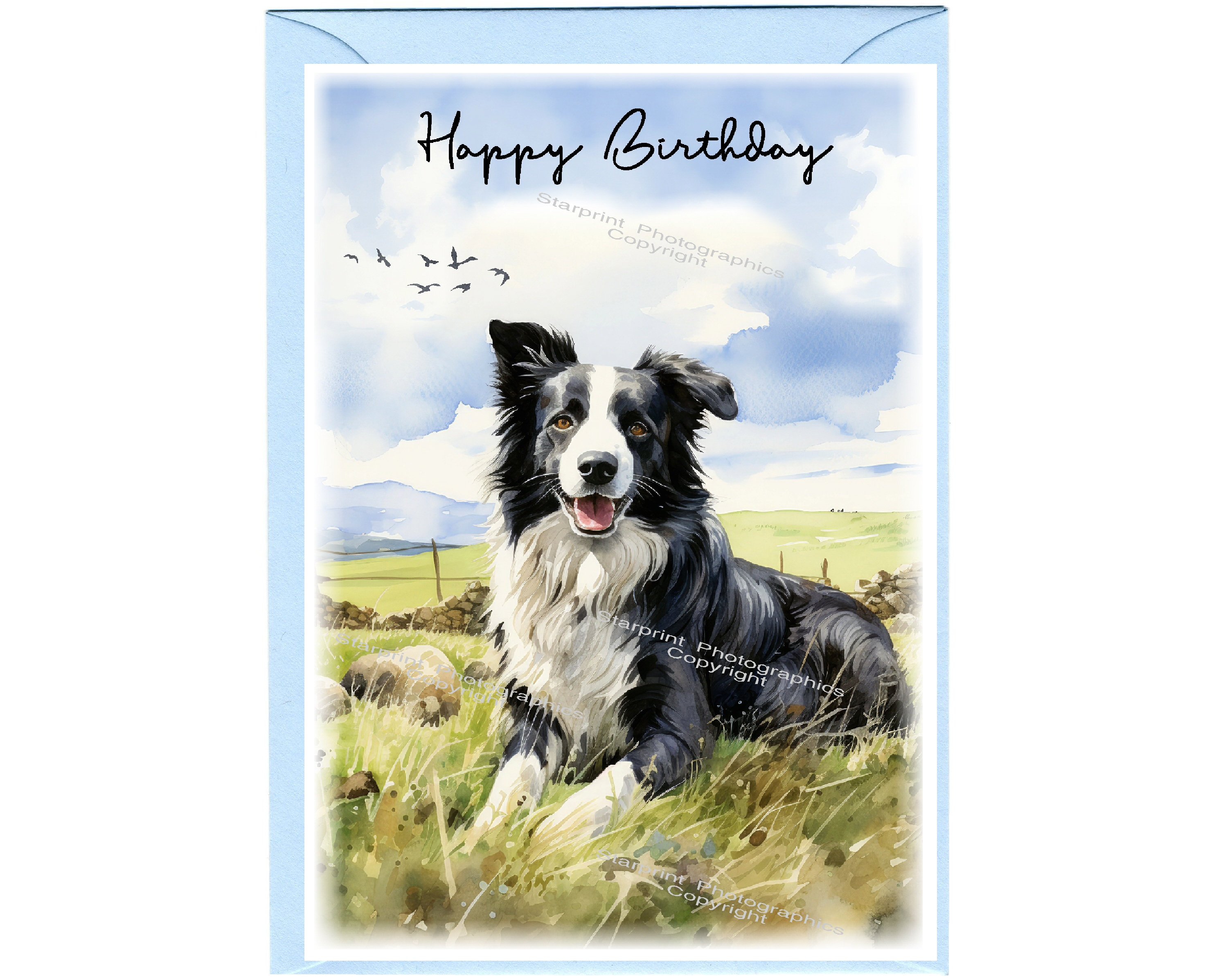 Cuccioli di cane Border Collie in vendita - annuncio N. 114782