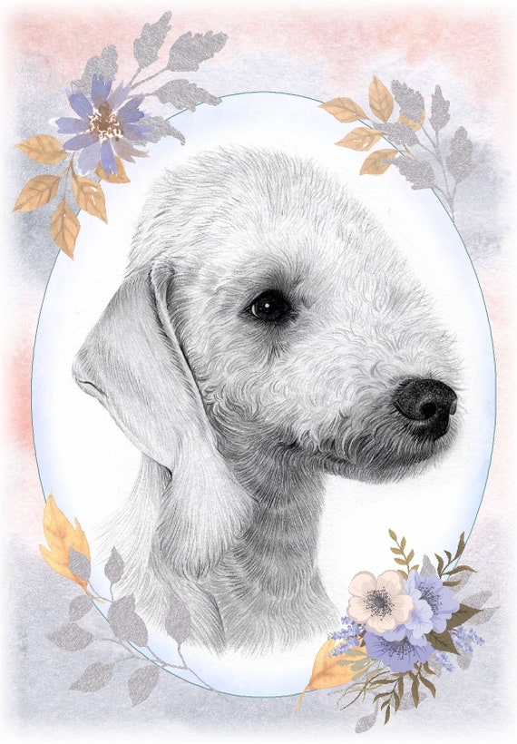 6 Bedlington Terrier Dog Blank Art Note Greeting Cards 