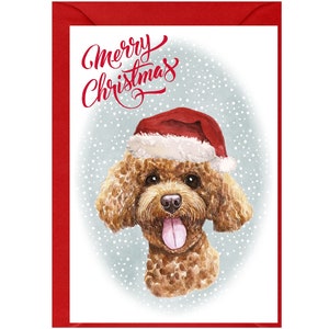 Tarjeta navideña con un perro caniche color albaricoque (15,24 x 10,16 cm). Interior en blanco y con sobre. Artículo perfecto para cualquier amante de los perros.