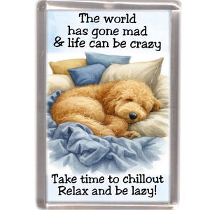 Könnte beinhalten: Ein rechteckiger Magnet mit einer Aquarellillustration eines schlafenden Golden Doodle Hundes auf einem Bett. Der Text lautet: „Die Welt ist verrückt geworden & das Leben kann verrückt sein. Nimm dir Zeit zum Entspannen. Entspann dich und sei faul!"