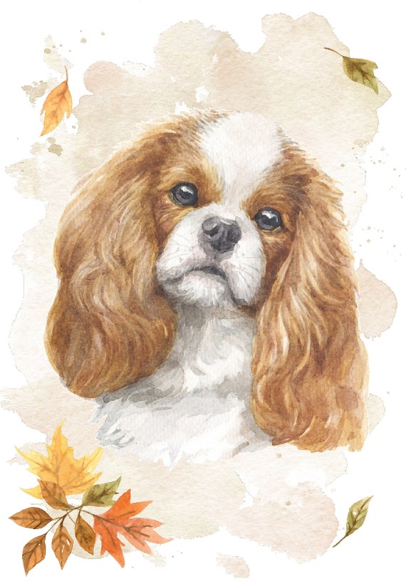 Cavalier king charles items cheap