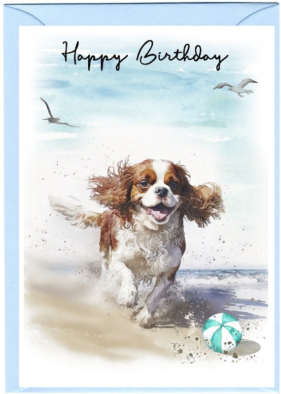 Cavalier King Charles Spaniel (Blenheim) Dog 