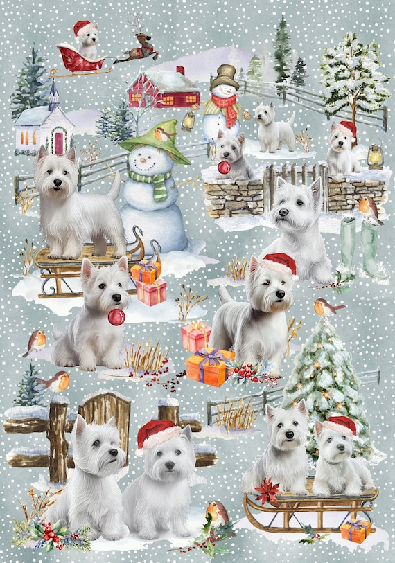 West Highland White Terrier / Westie Dog Christmas Gift Wrapping