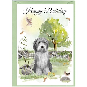 Biglietto "Happy Birthday" per cane Bearded Collie (6"x 4") con busta. Vuoto all'interno per il tuo messaggio. Perfetto per ogni amante dei cani