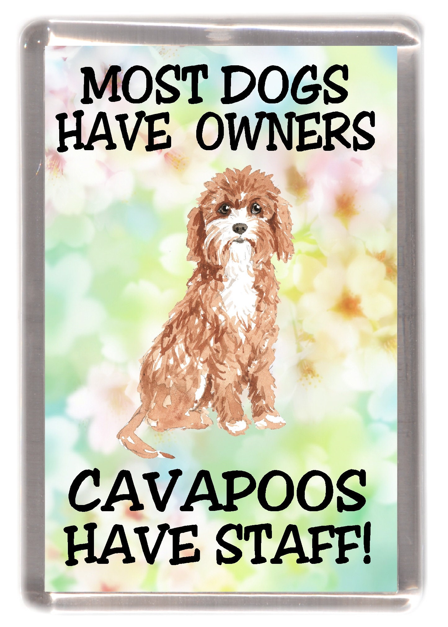 Cockapoo Magnet Cavapoo / Doodle Dog Fridge Magnet - Most Dogs Have Owners Cockapoos ...